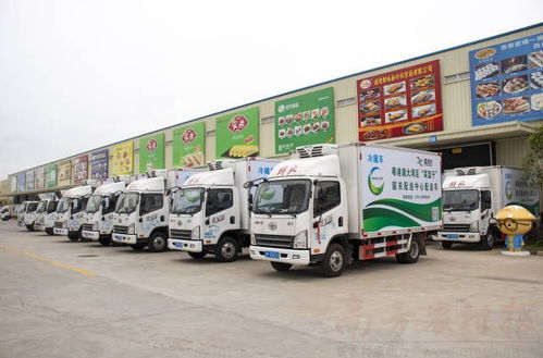 食品配送规范化发展助力农村食品安全与消费升级