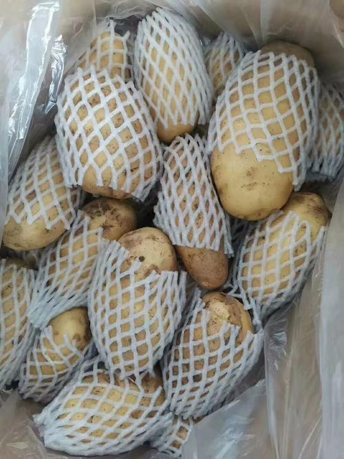 东莞茶山工厂承包食堂