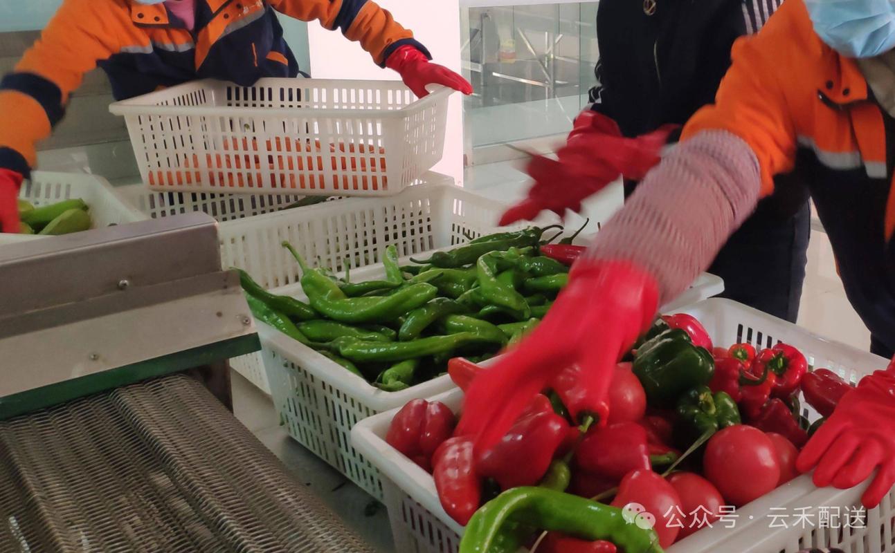 西安餐厅配送公司:生鲜蔬菜副食品供应
