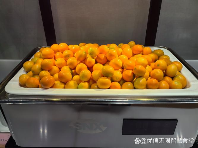 智慧食堂来啦！食品配送如何守护“舌尖上的安全”？